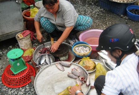 Thịt ôi, cá ươn vào nồi cơm sinh viên