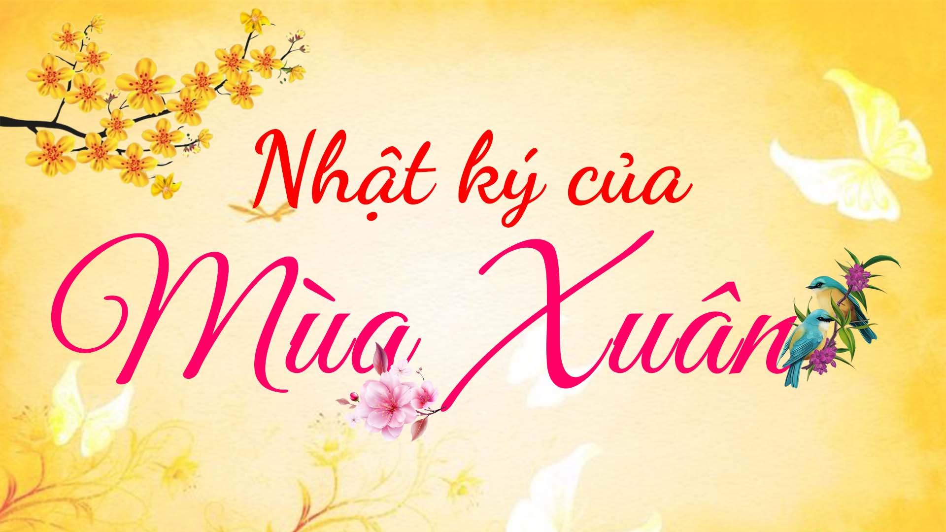 Radio Kỳ 649: NHẬT KÝ CỦA MÙA XUÂN